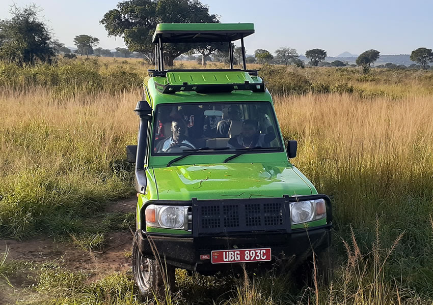 Wildlife Game Drives in Uganda