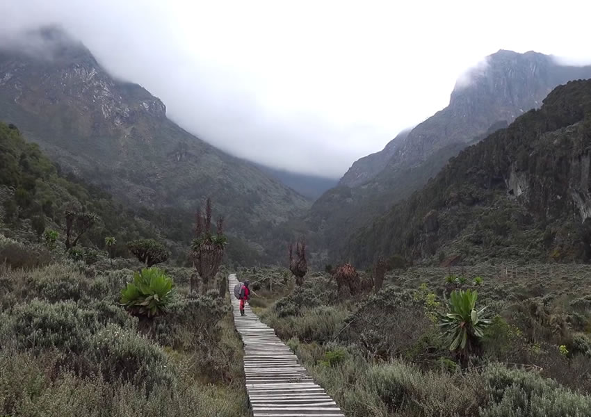 Mountain Hiking in Uganda