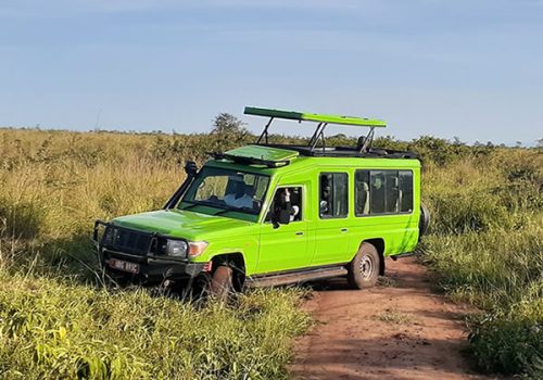 game drive in kidepo