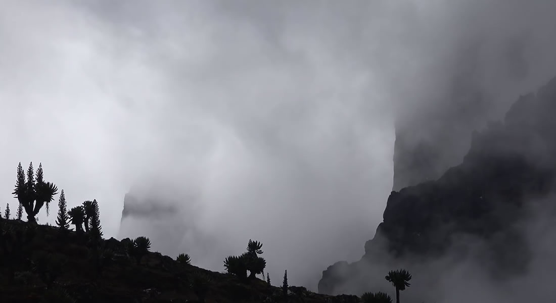 hiking rwenzori mountain