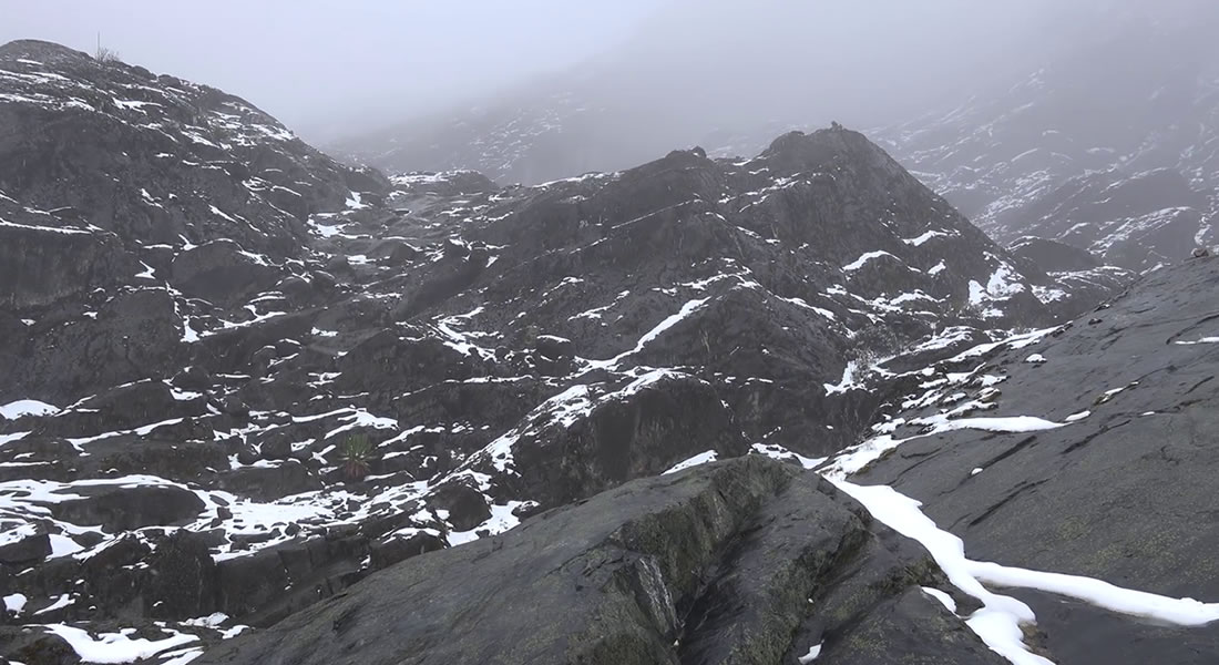 Hiking Rwenzori Mountain in Uganda