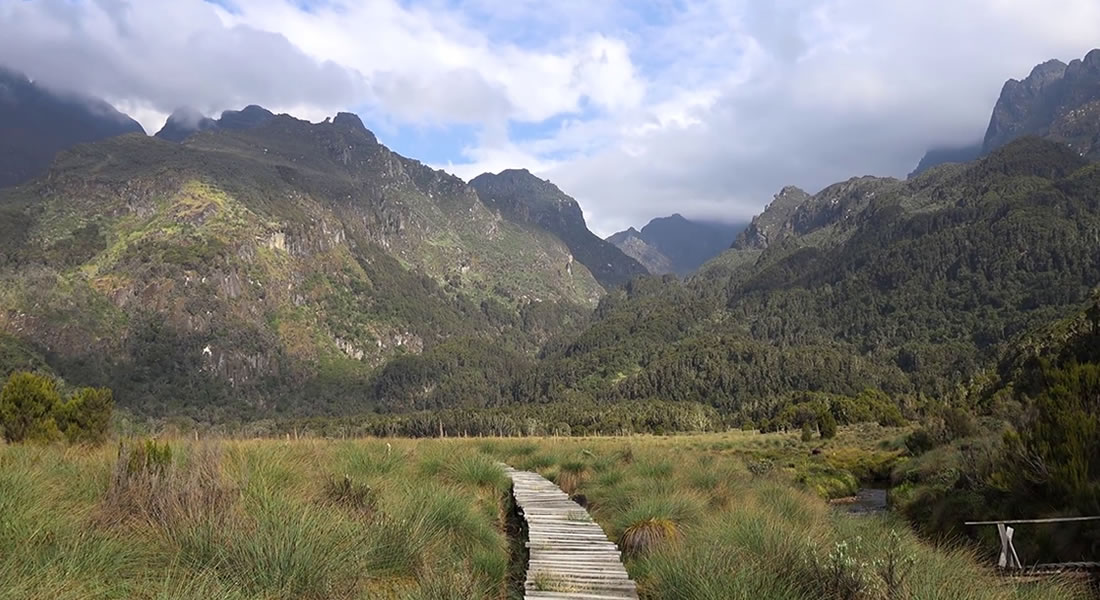 Hiking Rwenzori Mountain in Uganda