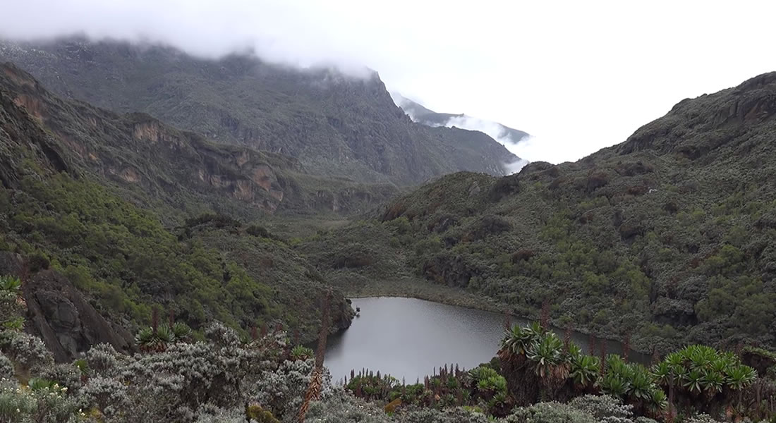 Hiking Rwenzori Mountain in Uganda