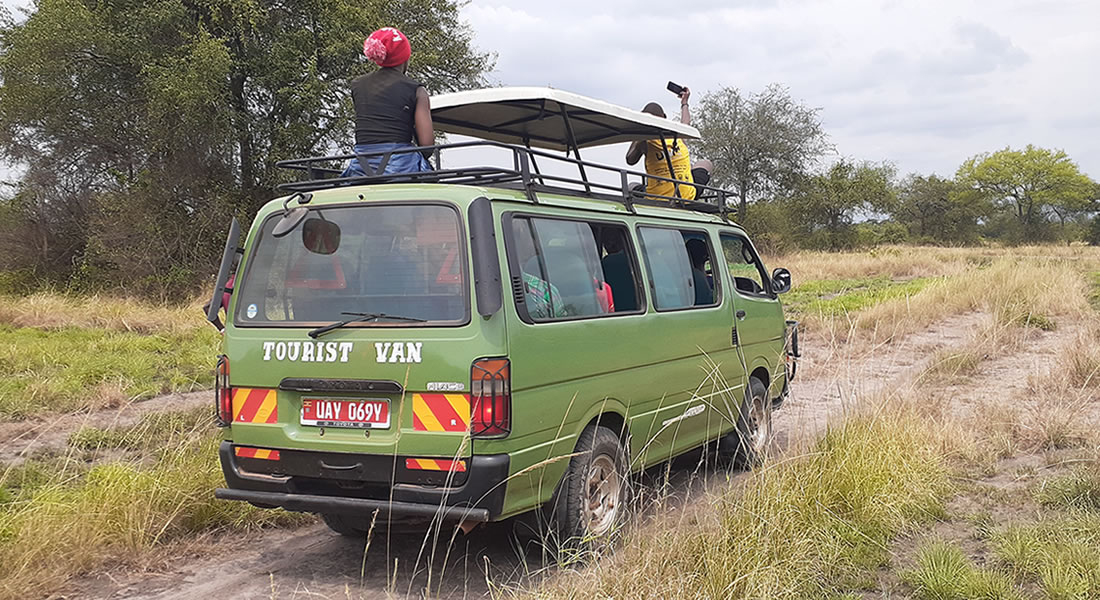 game drive in semuliki national park, Safari Car Rental in Uganda