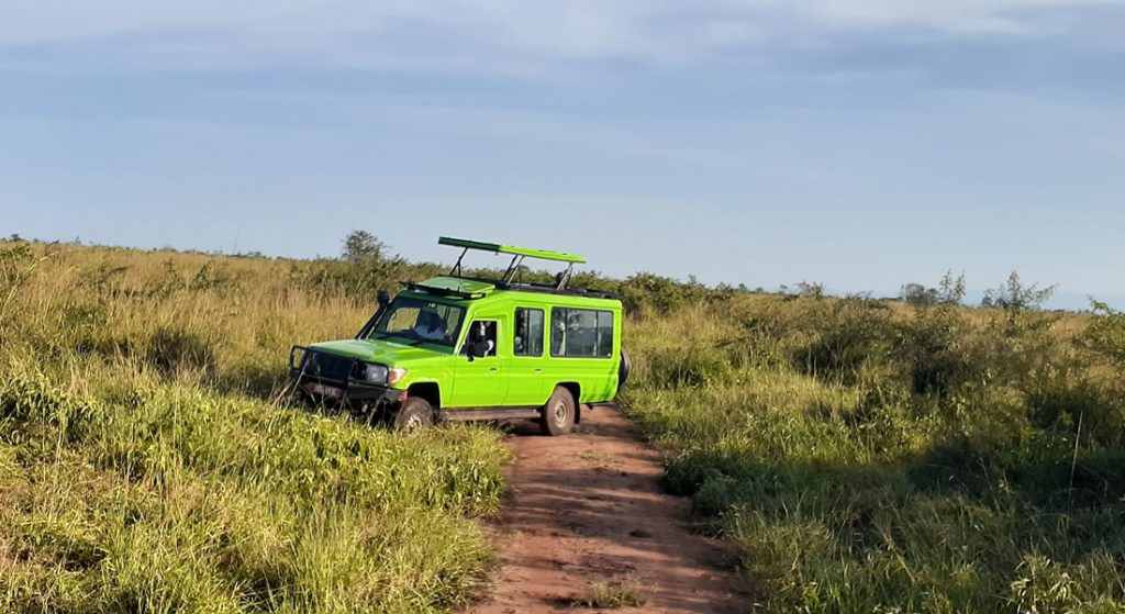 game drive in kidepo valley national park