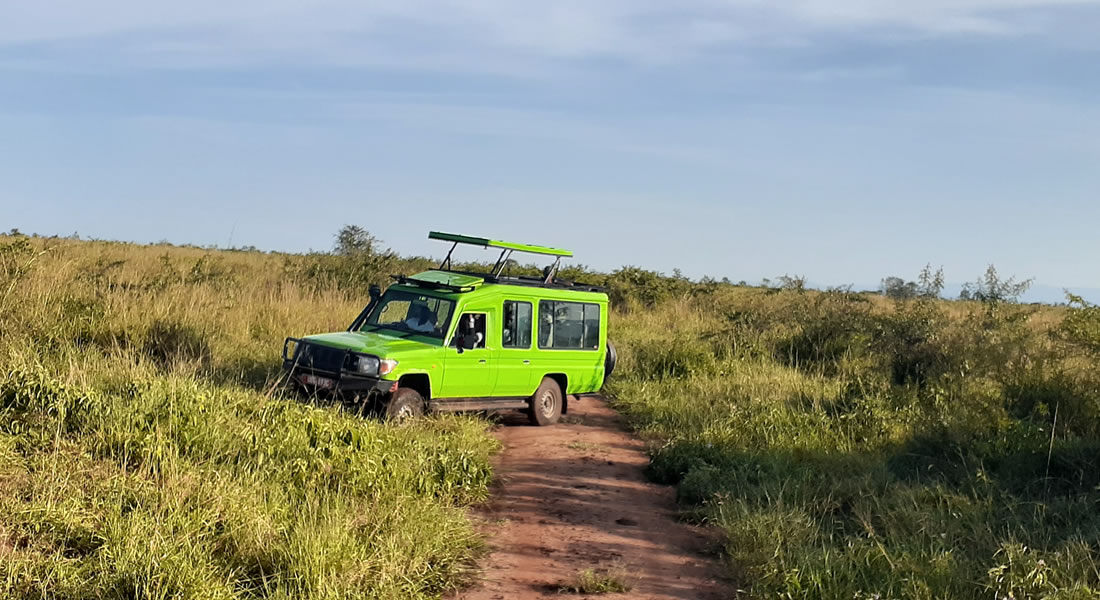 game drive in kidepo valley national park