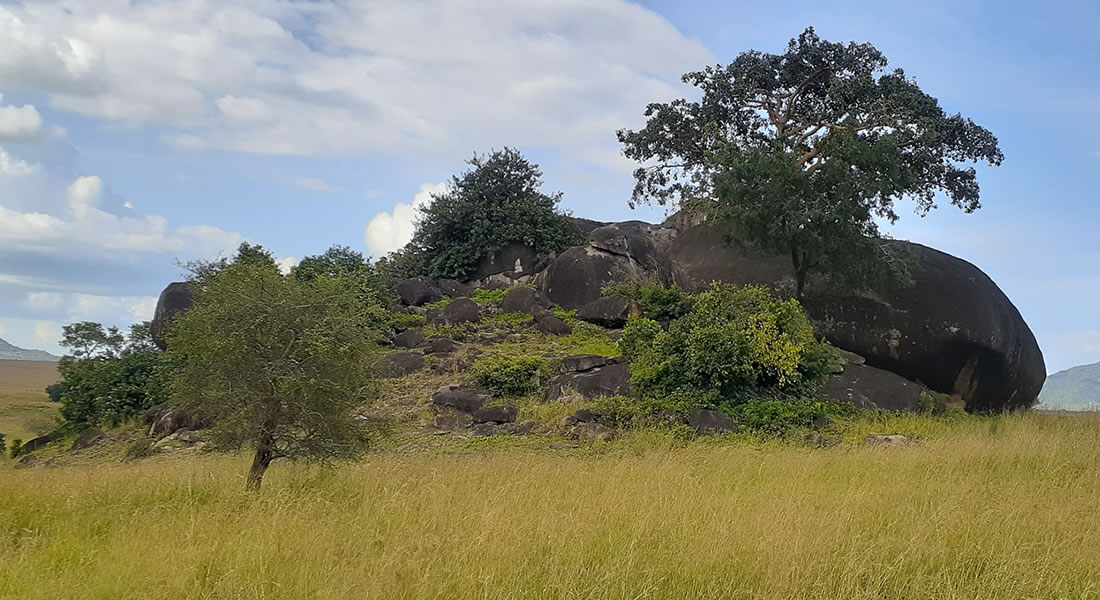 Kidepo Valley National Park