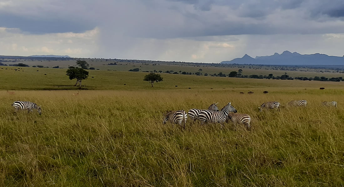 Kidepo Valley National Park