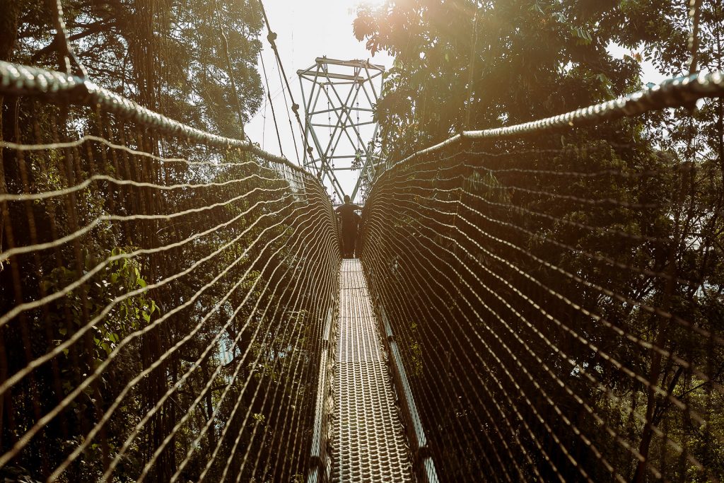 Nyungwe Forest National Park