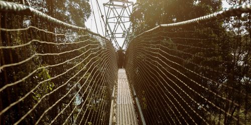 Nyungwe Forest National Park