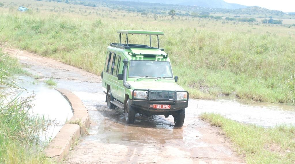 Why Verdant Safaris, Safari Car Rental in Uganda