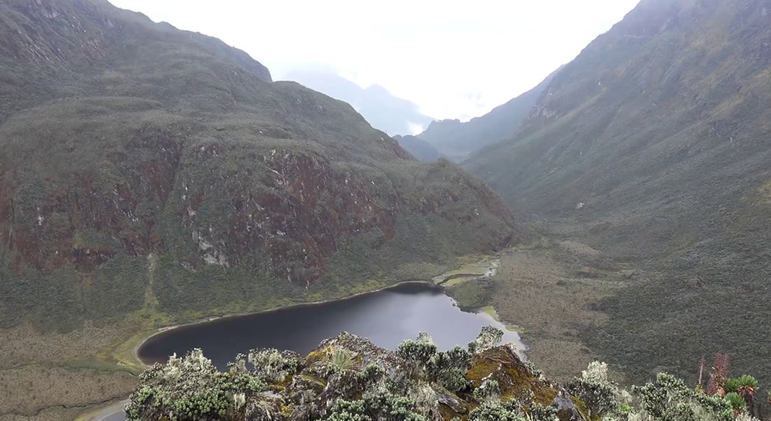 Mountain Hiking in Uganda