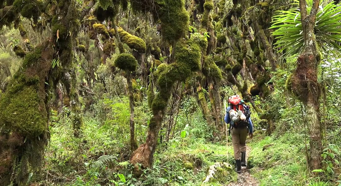 Uganda Mountain Hiking