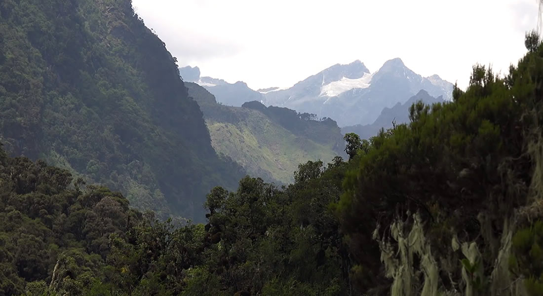 Uganda mountain hiking