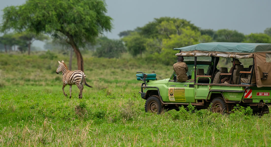 Uganda Wildlife Authority