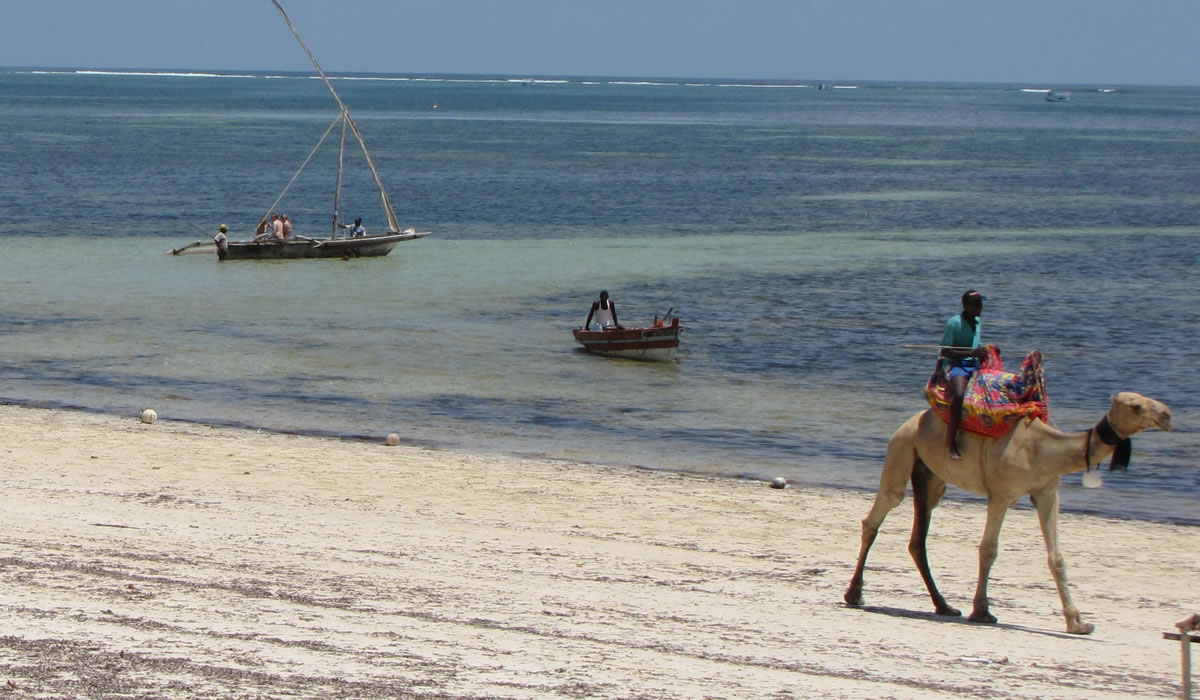 Mombasa beach