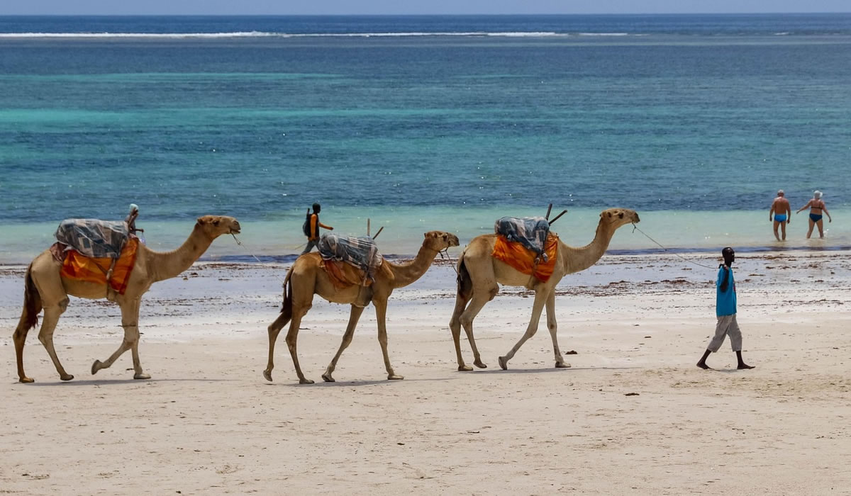 Diani Beach Tour