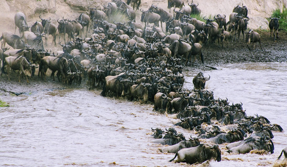 Mara river