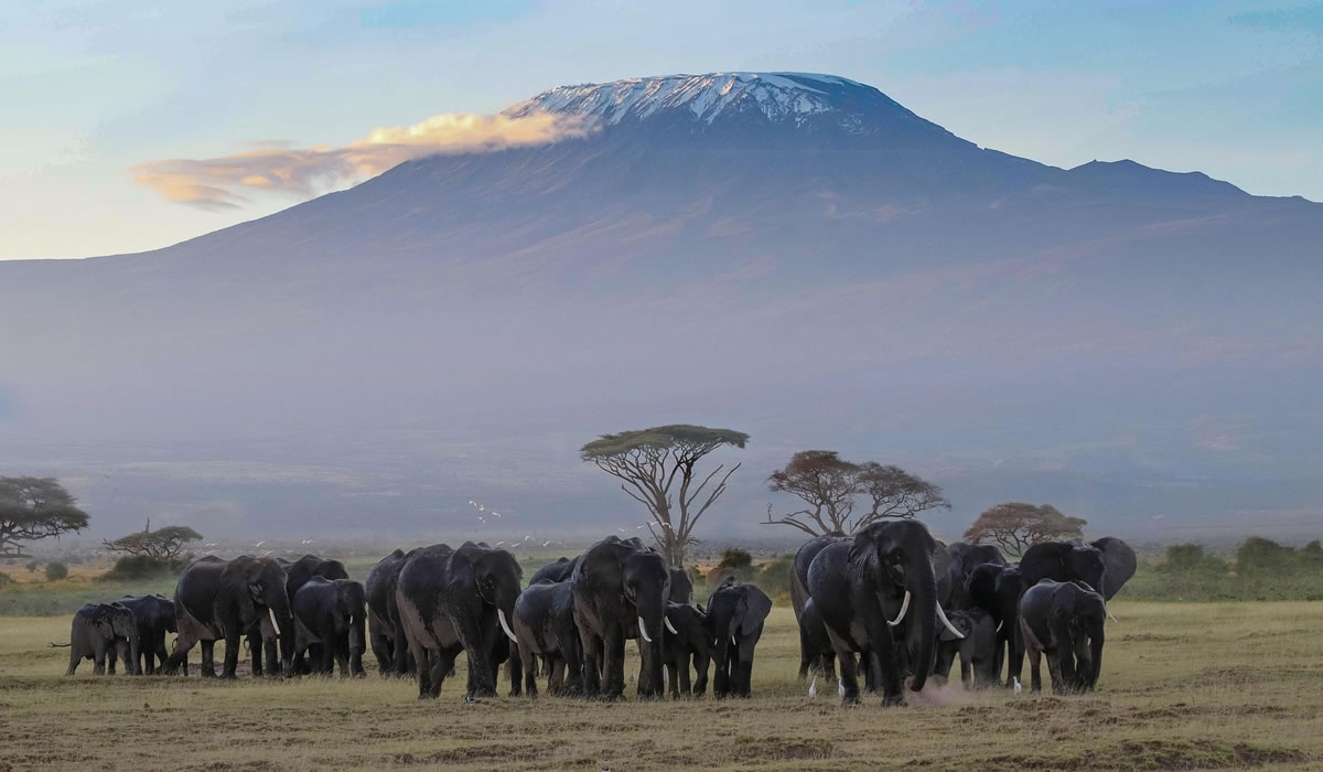 Hiking Mount Kilimanjaro