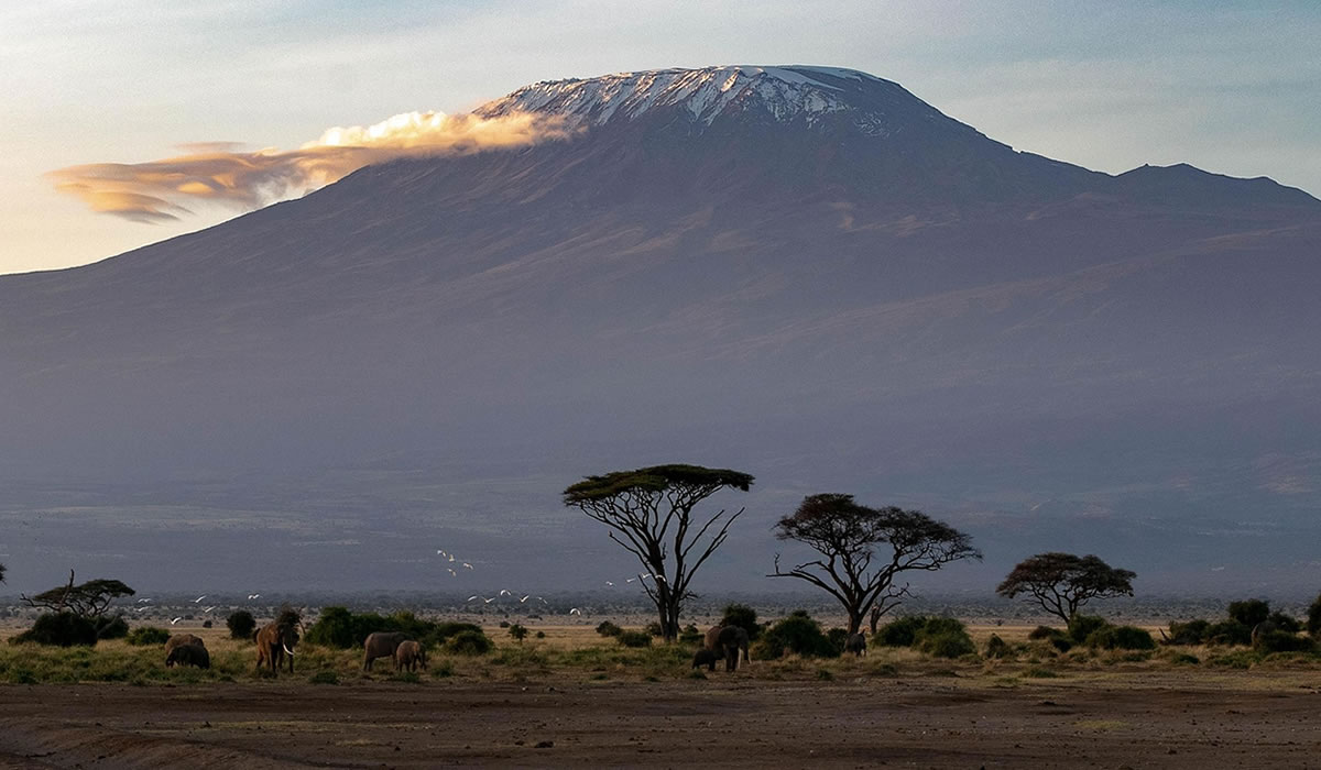 Things to do in Tanzania