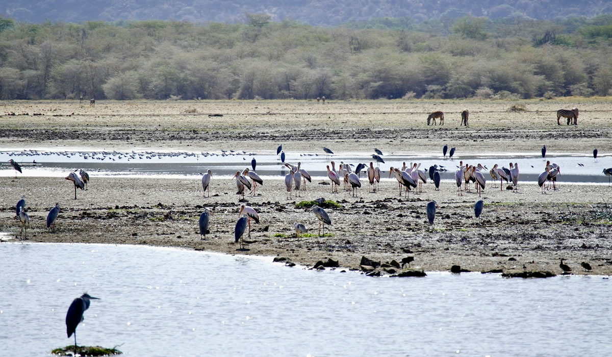 Things to do in Tanzania