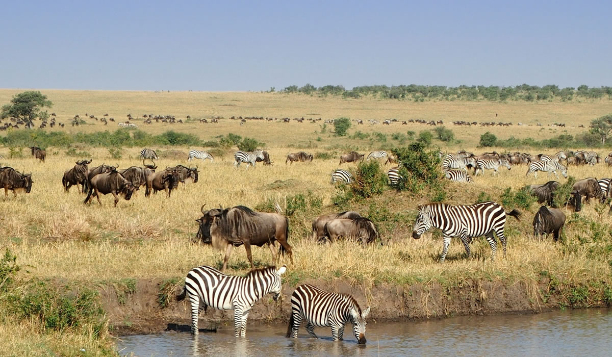 Things to do in Kenya, Maasai Mara National Reserve