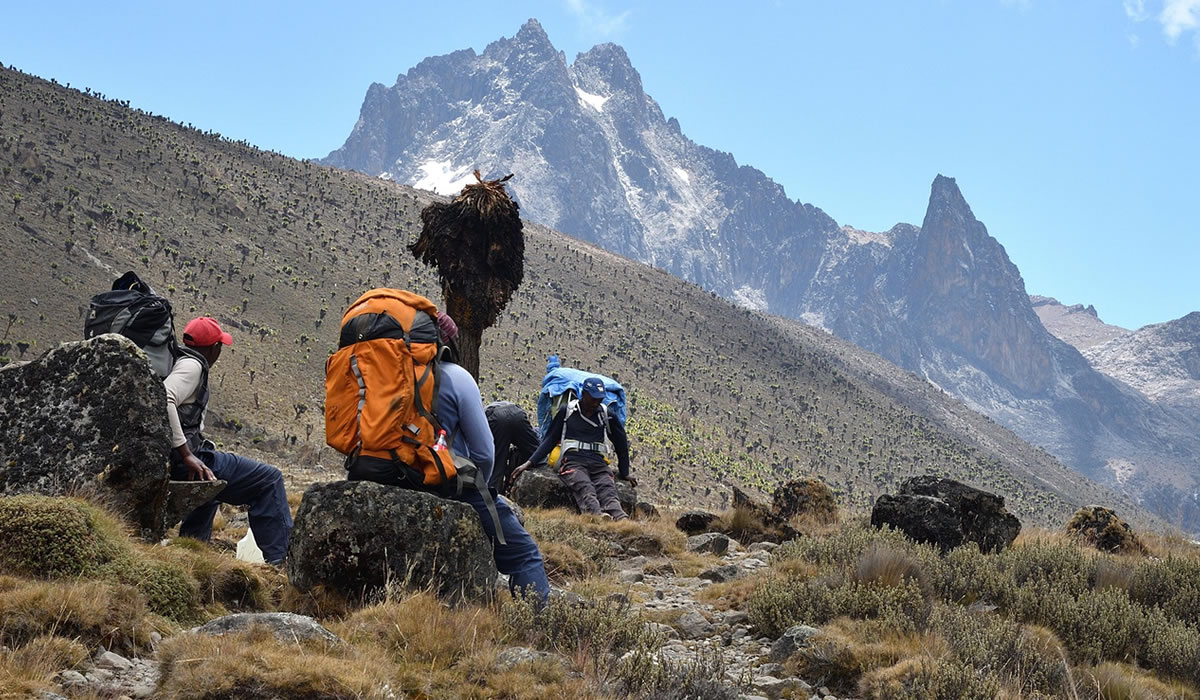 Climb Mount Kenya, Mount Kenya National Park