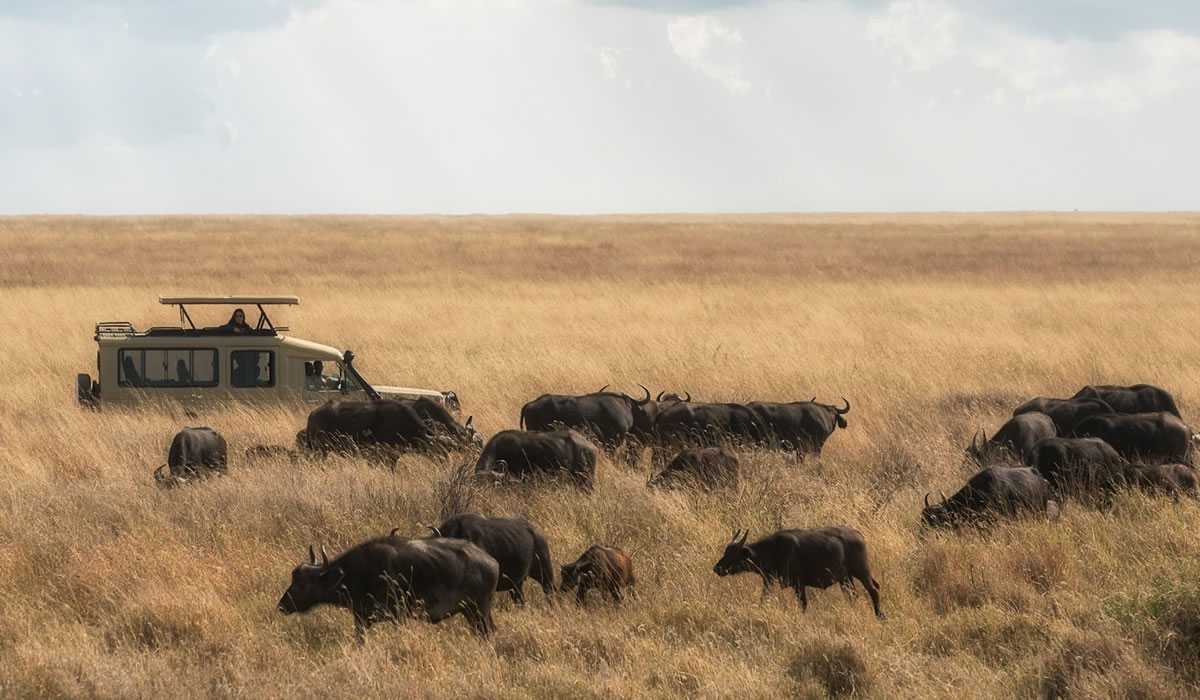 Serengeti National Park