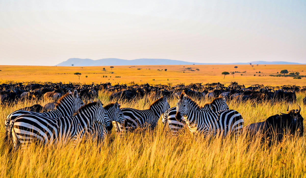 Serengeti National Park