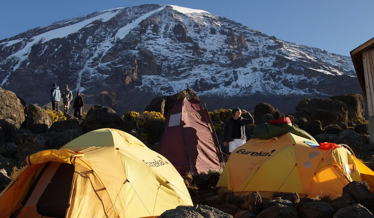 snow-capped kilimanjaro