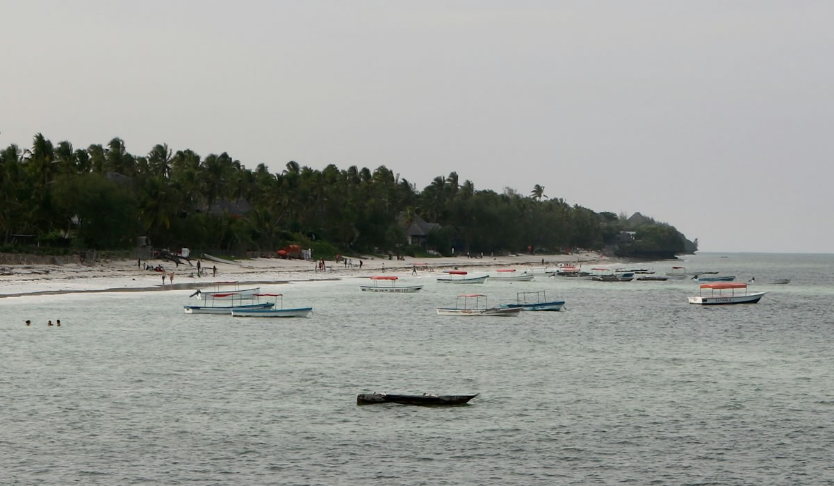 visit Zanzibar