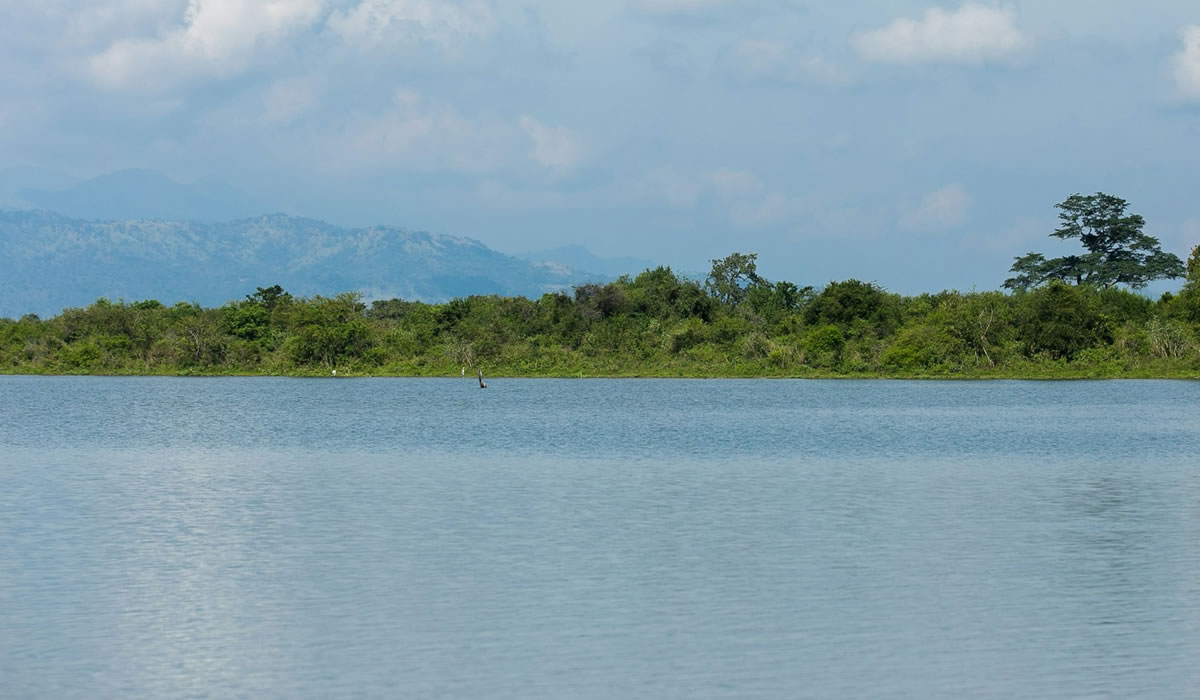 Lake Manyara National Park