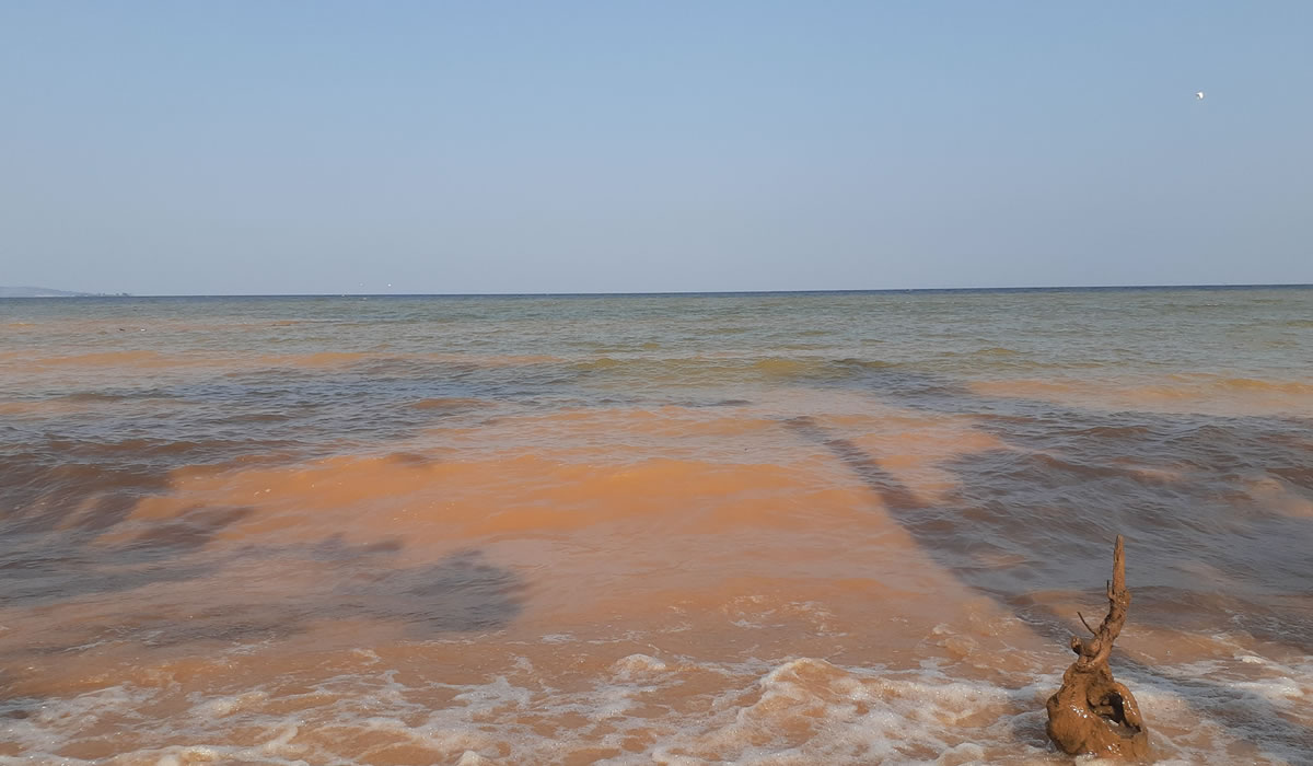 Lake Victoria in Uganda