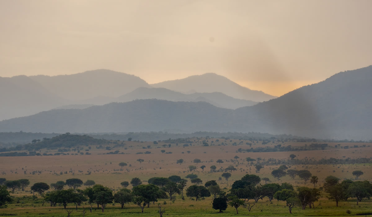 Uganda Weather Guide
