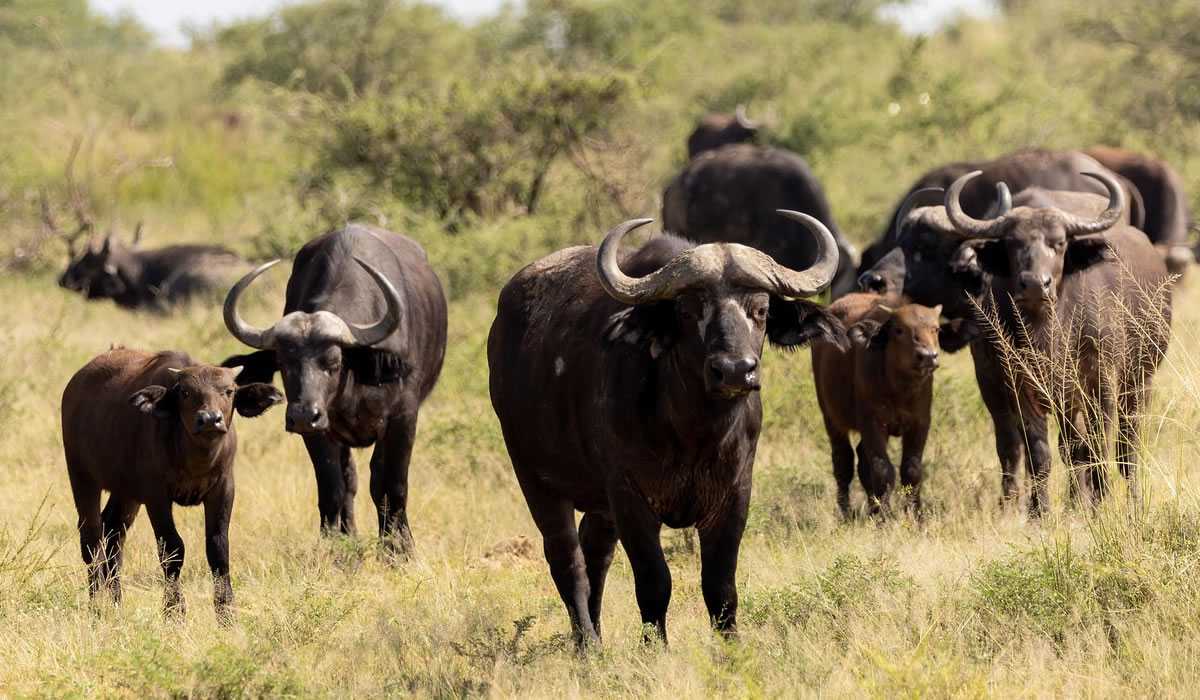 Arusha National Park