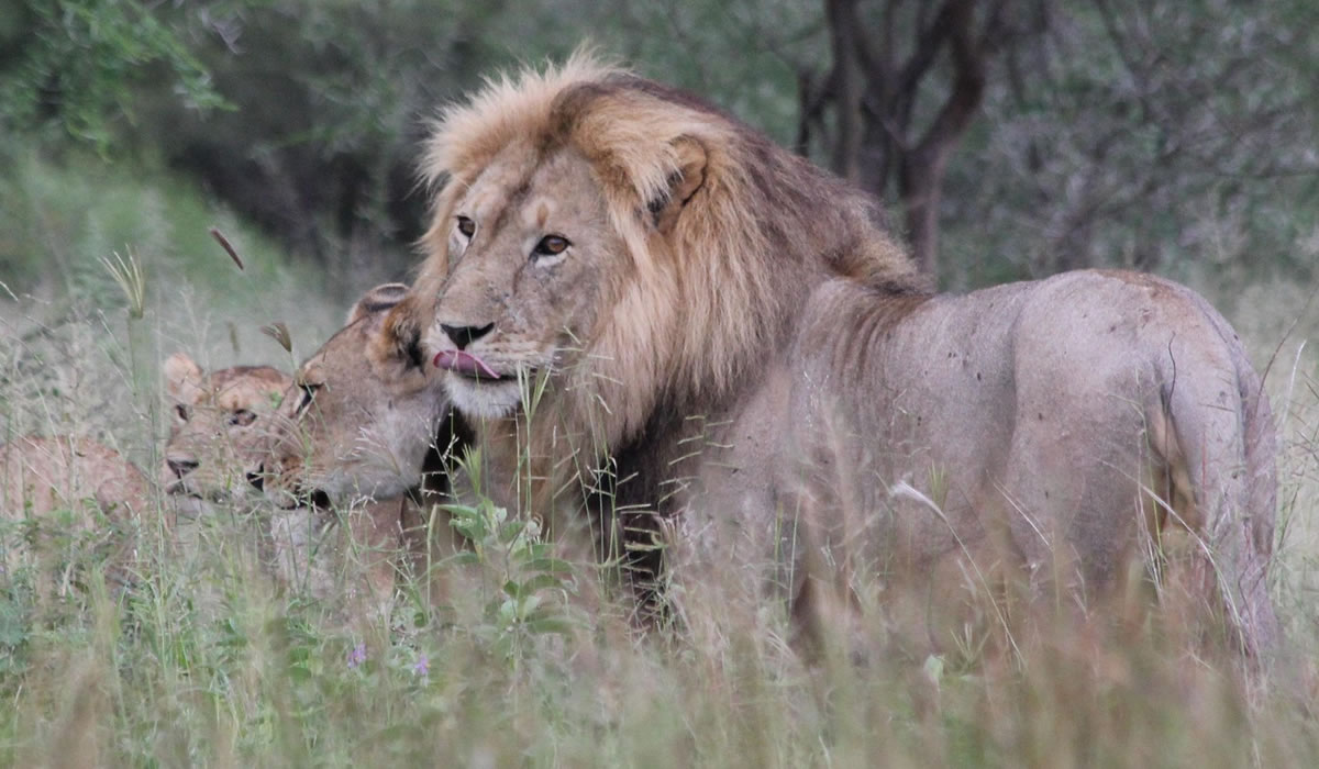 Tarangire National Park