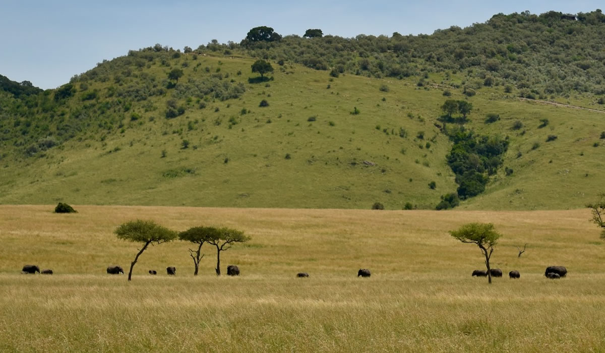 ngorongoro Tanzania