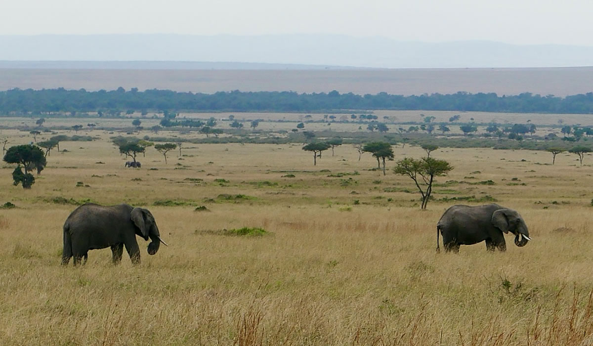 Ngorongoro Conservation Area