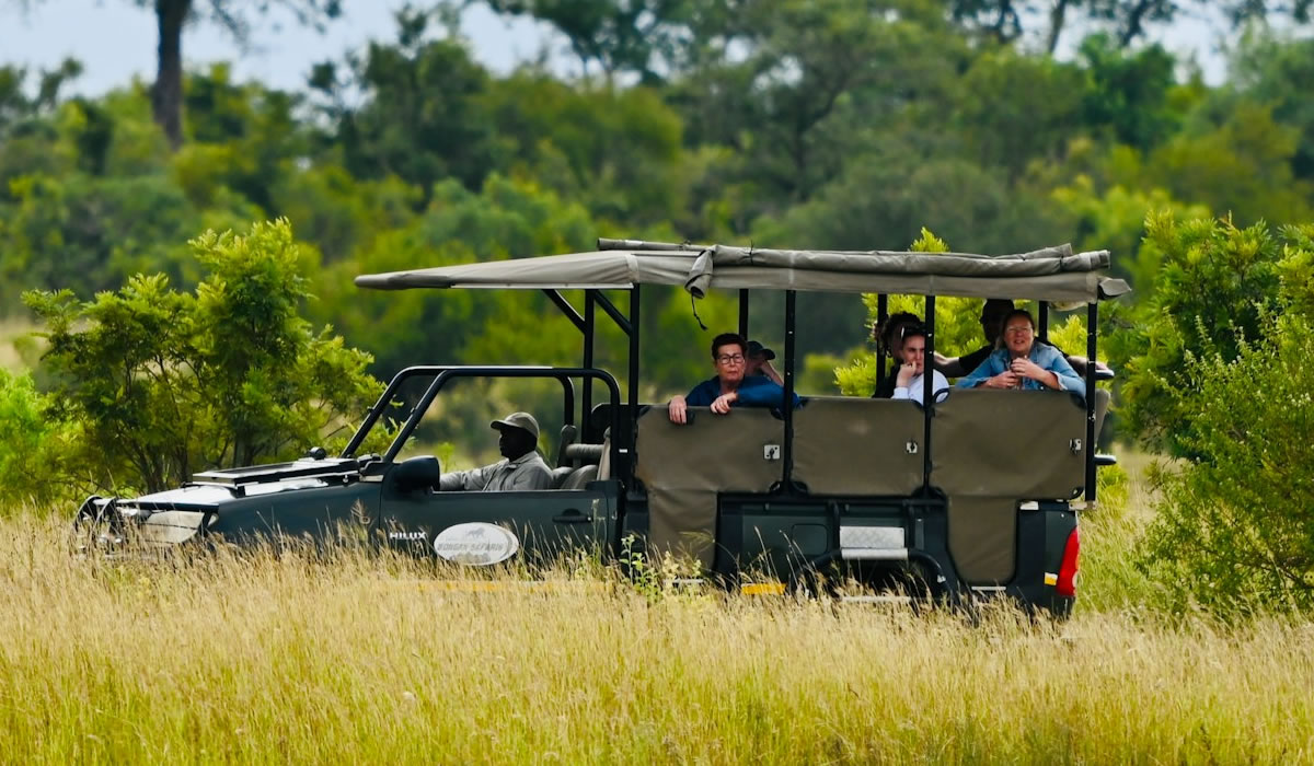 tourists on a game drive