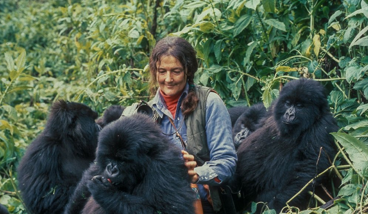 Dian Fossey