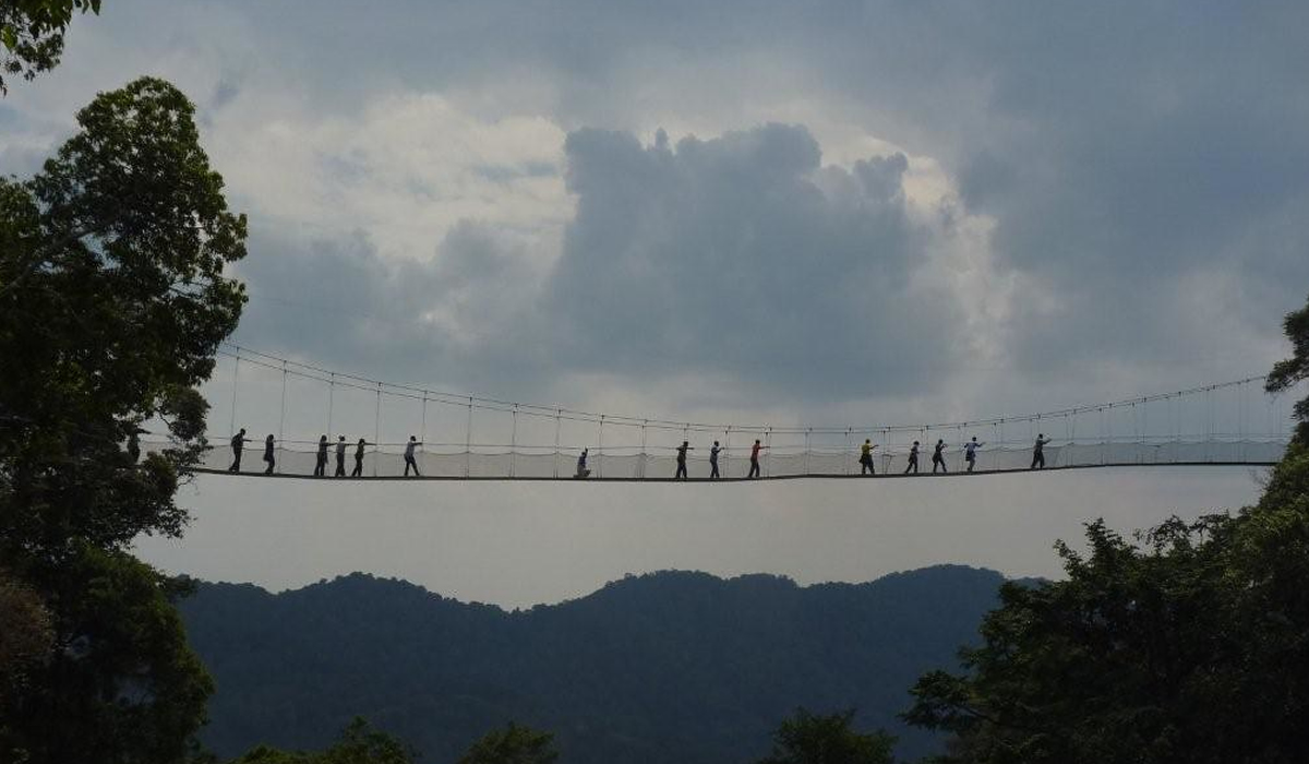 Canopy Walk in Nyungwe Forest National Park