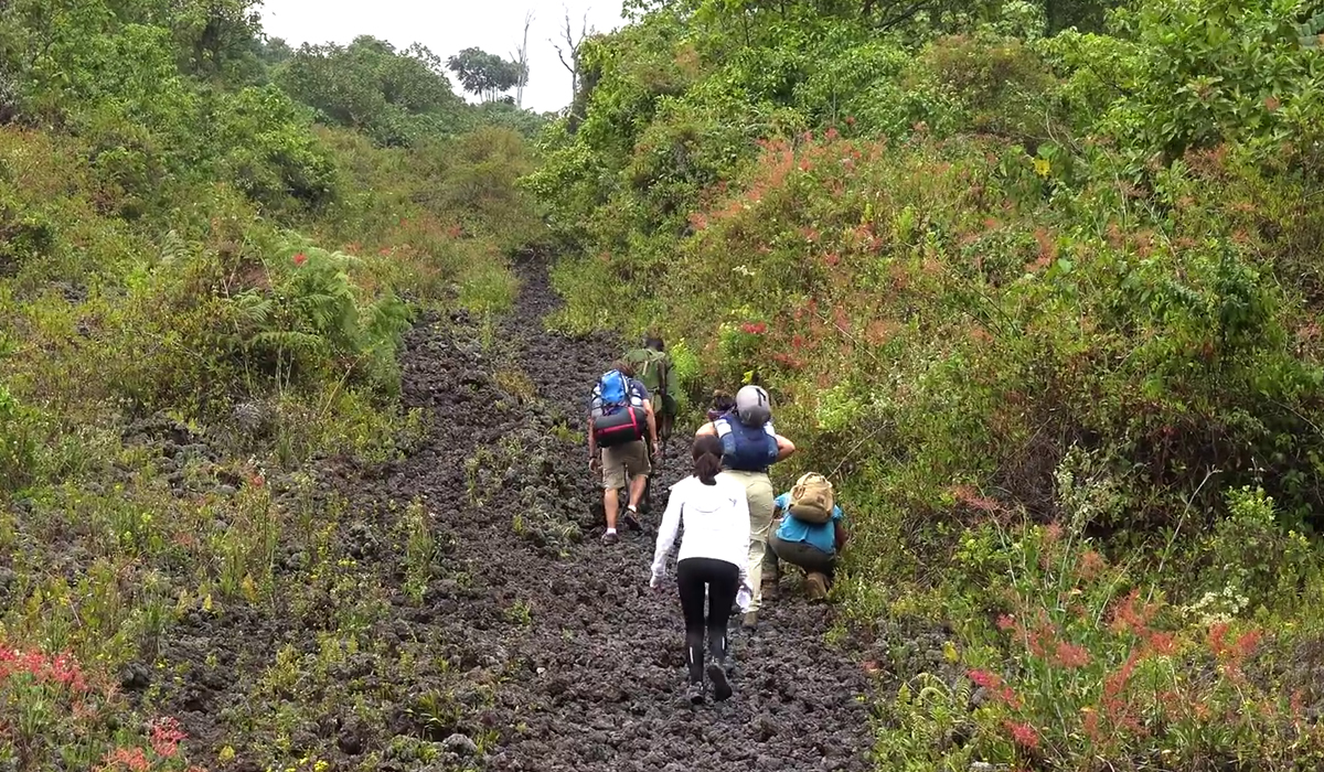Virunga National Park