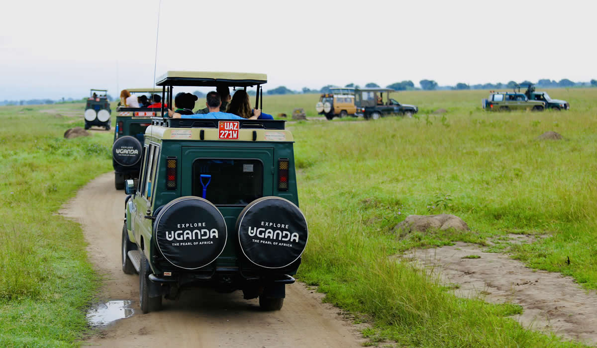 Game Drives in Uganda