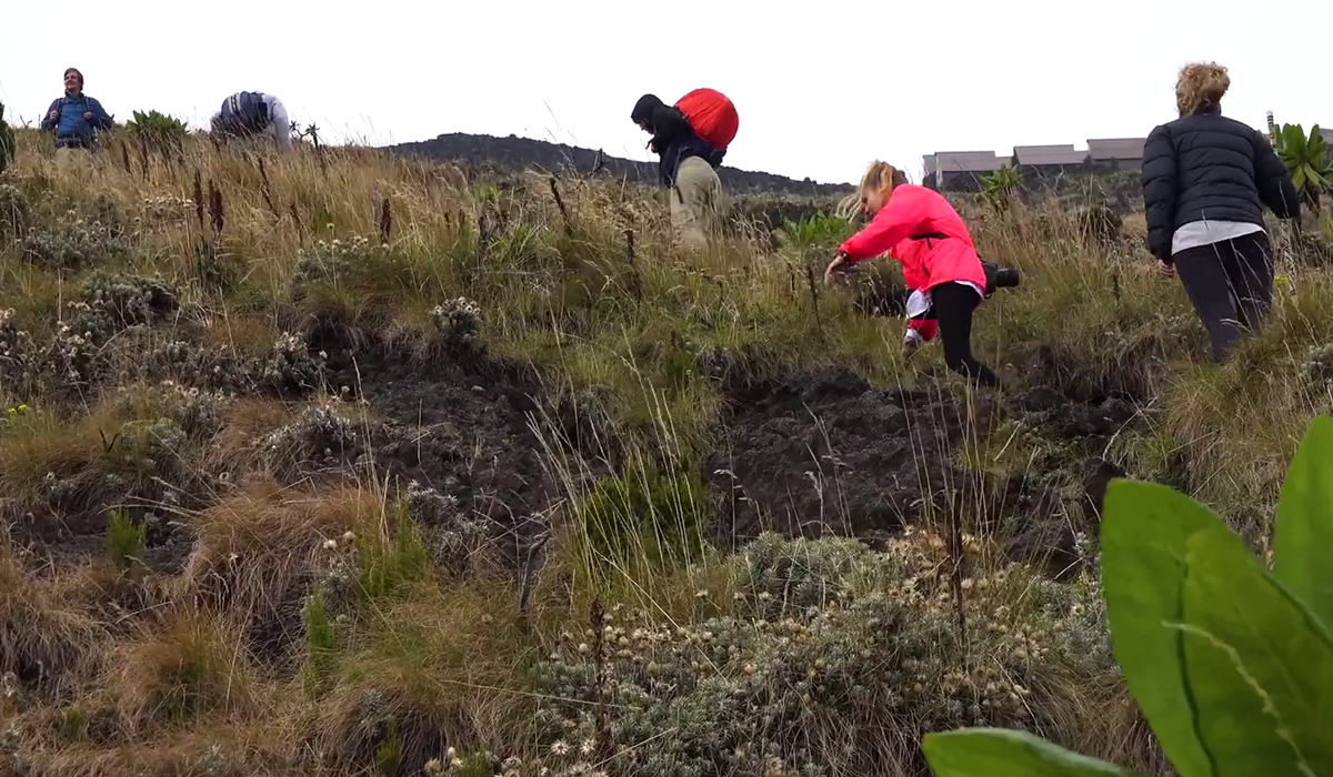 Virunga National Park