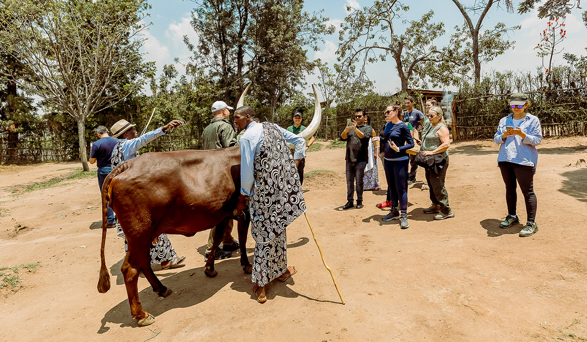 Rwanda Cultural Expeditions