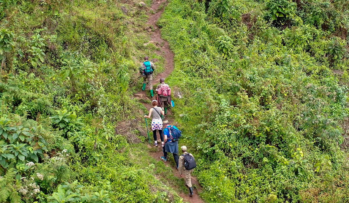 Walking Safaris in Uganda