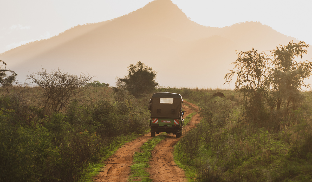 Kidepo game drive