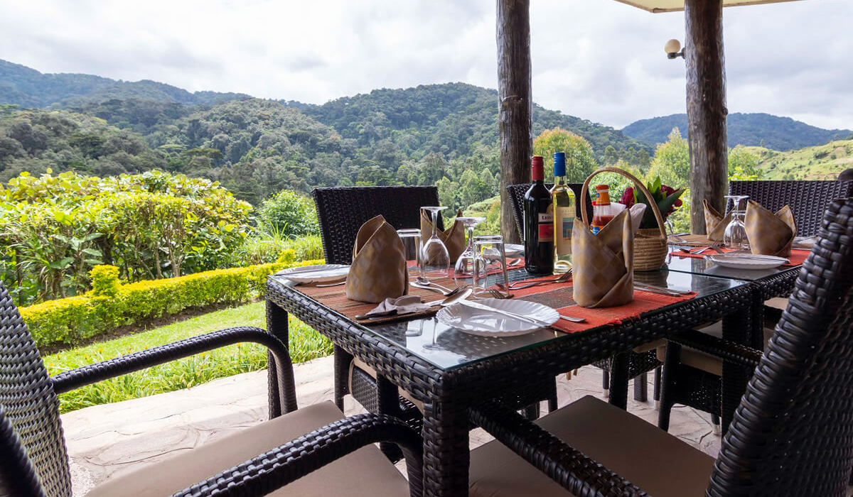 Best Lodges Near Bwindi Impenetrable Forest