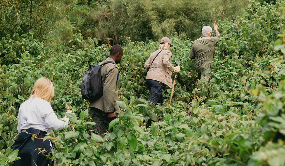 Is Rwanda Gorilla Trekking Safe?
