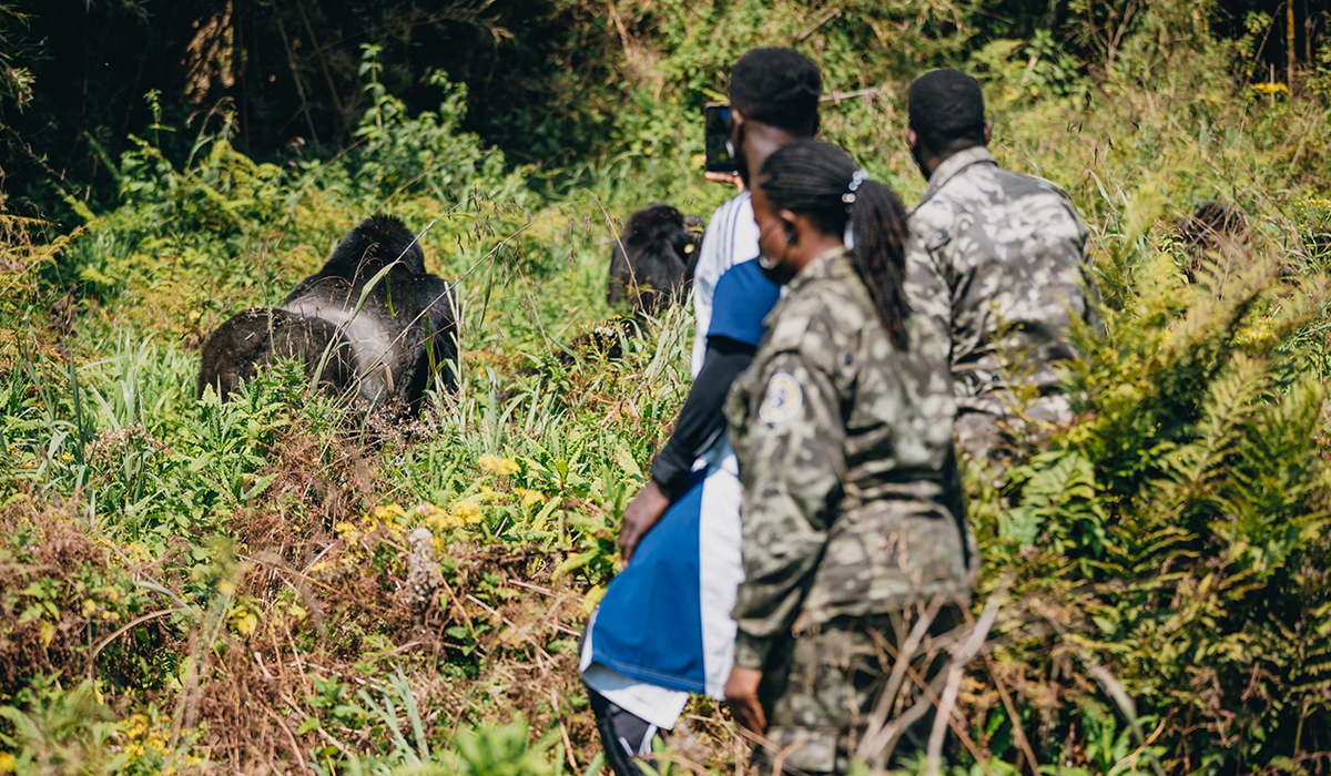 Popular Tourist Activities in Rwanda